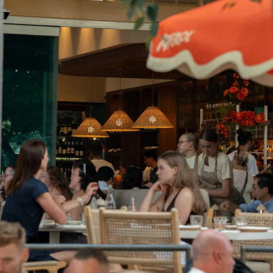 Gina_V Day 550px.png