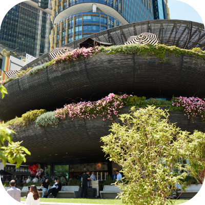 barangaroo-house_web-card400x400.png